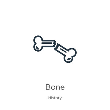 Bone icon. Thin linear bone outline icon isolated on white background from history collection. Line vector bone sign, symbol for web and mobile