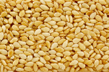 kozinak sugar glazed, sesame seeds in icing sugar, Oriental sweets close-up macro, brittles