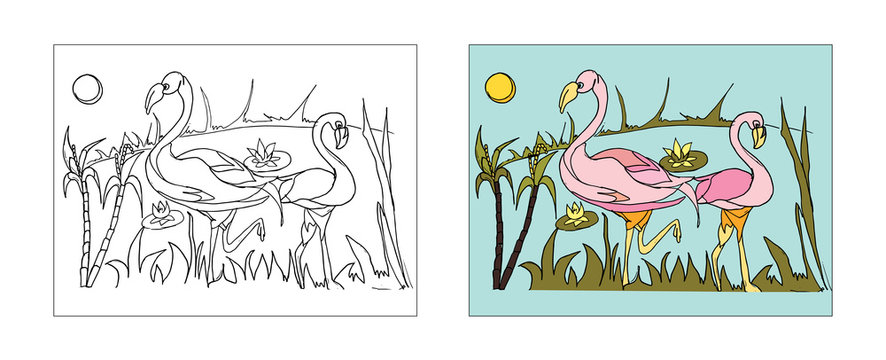 flamingo coloring book design with monochrome and colored versions. Freehand sketch for adult anti stress coloring book page with doodle elements. Vector Illustrations for kids book.