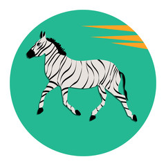 Zebra - round icon - isolated on white background - vector. Environmental Protection. Animal world.
