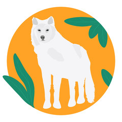 Wolf white - round icon - isolated on a white background - vector. Environmental Protection. Animal world.