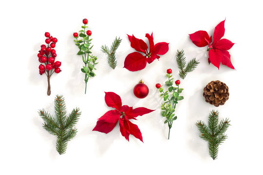 Christmas decoration. Flowers of red poinsettia, branch christmas tree, ball, cone pine, red berry on a white background. Top view, flat lay