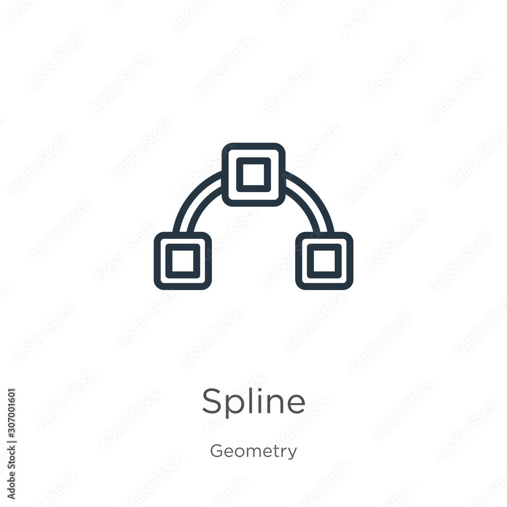 Poster spline icon. thin linear spline outline icon isolated on white background from geometry collection. 