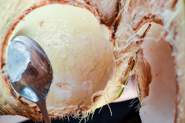Eating coconut meat