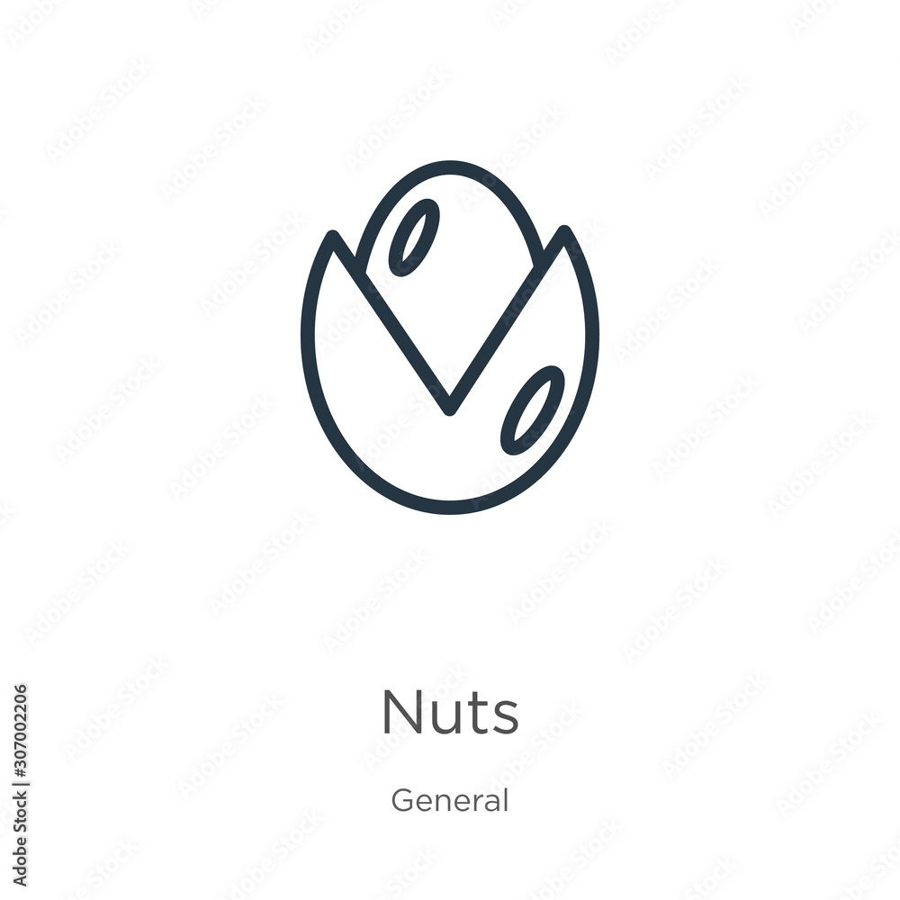 Poster nuts icon. thin linear nuts outline icon isolated on white background from general collection. line 