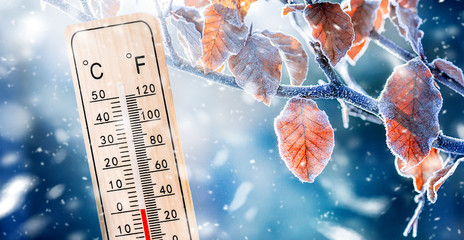 Thermometer or meteorology degree indicator  in winter near frozen leaves twig shows low...