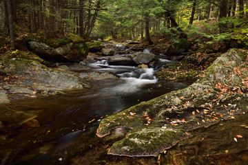 Sterling Brook after the Falls with moss covered Schist north of Stowe Vermont