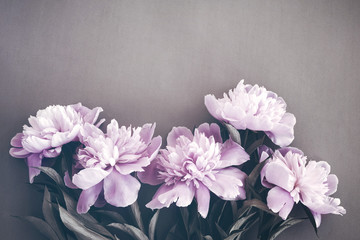 Close-up bouquet of pink peonies in pastel colors, top view in flat lay style. Floral background - obrazy, fototapety, plakaty