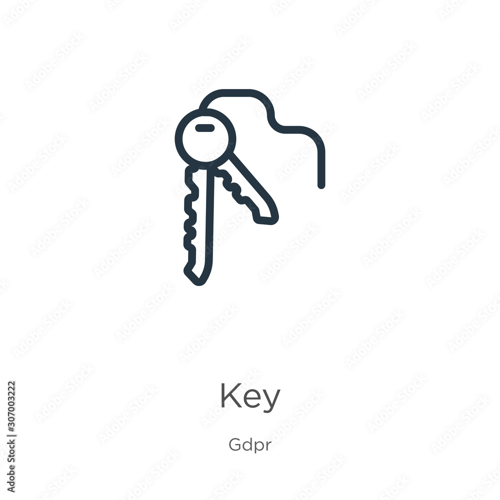 Poster key icon. thin linear key outline icon isolated on white background from gdpr collection. line vecto