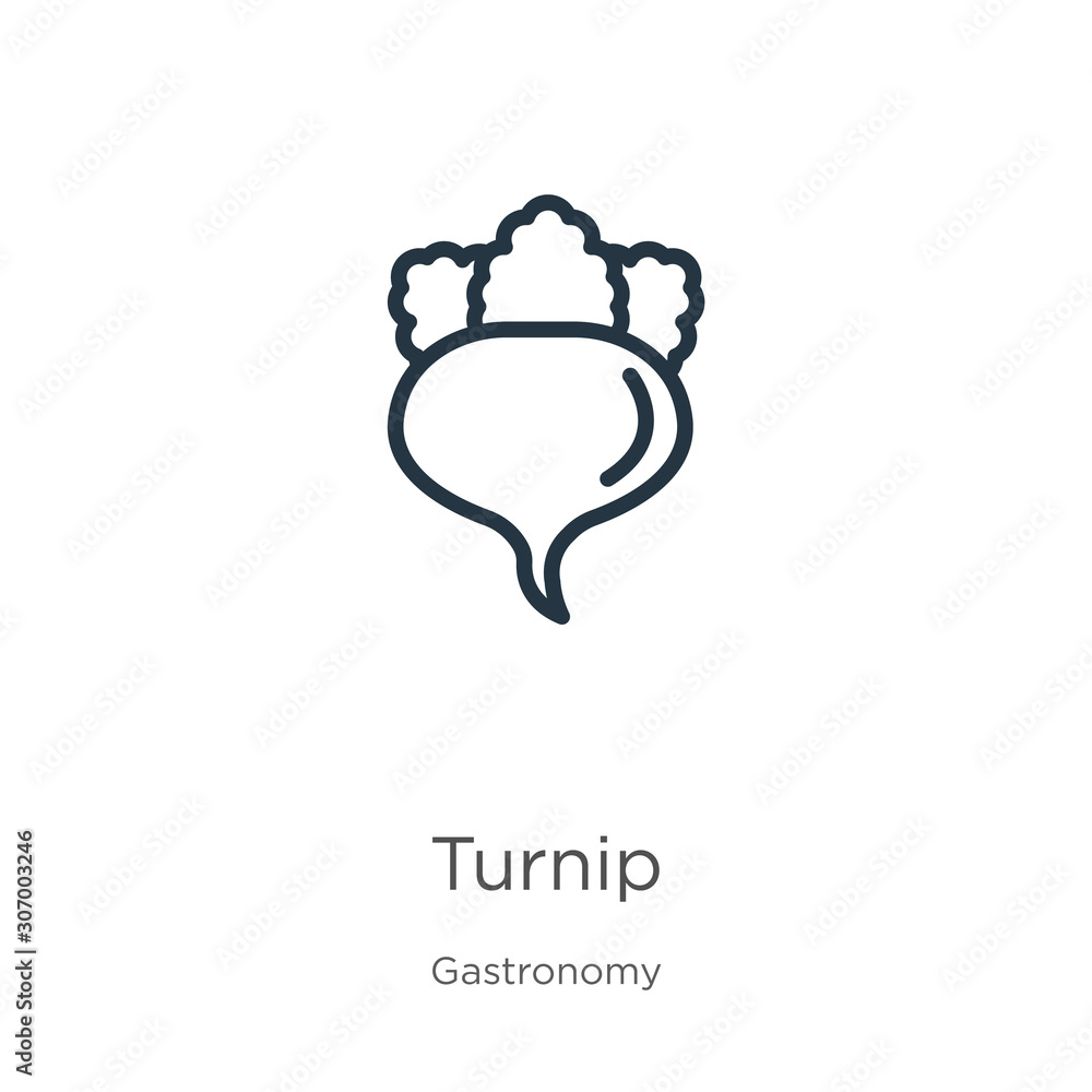 Poster turnip icon. thin linear turnip outline icon isolated on white background from gastronomy collection