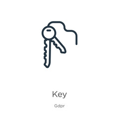 Key icon. Thin linear key outline icon isolated on white background from gdpr collection. Line vector key sign, symbol for web and mobile