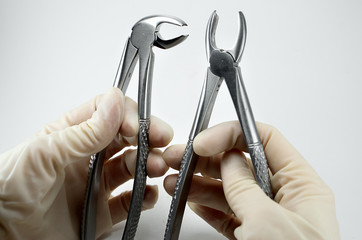 dental surgical forceps to remove teeth in the hands of a dentist surgeon on a light background © daniiD