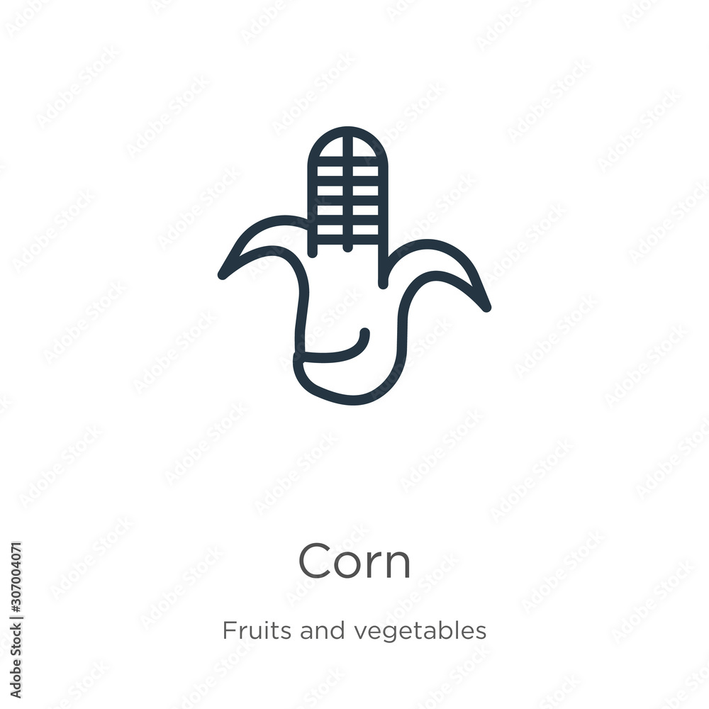 Poster corn icon. thin linear corn outline icon isolated on white background from fruits collection. line v