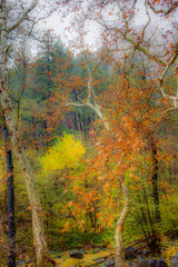 Fall for Planet Sedona