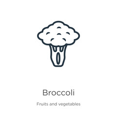 Broccoli icon. Thin linear broccoli outline icon isolated on white background from fruits collection. Line vector broccoli sign, symbol for web and mobile