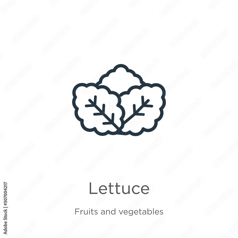 Poster lettuce icon. thin linear lettuce outline icon isolated on white background from fruits collection. 