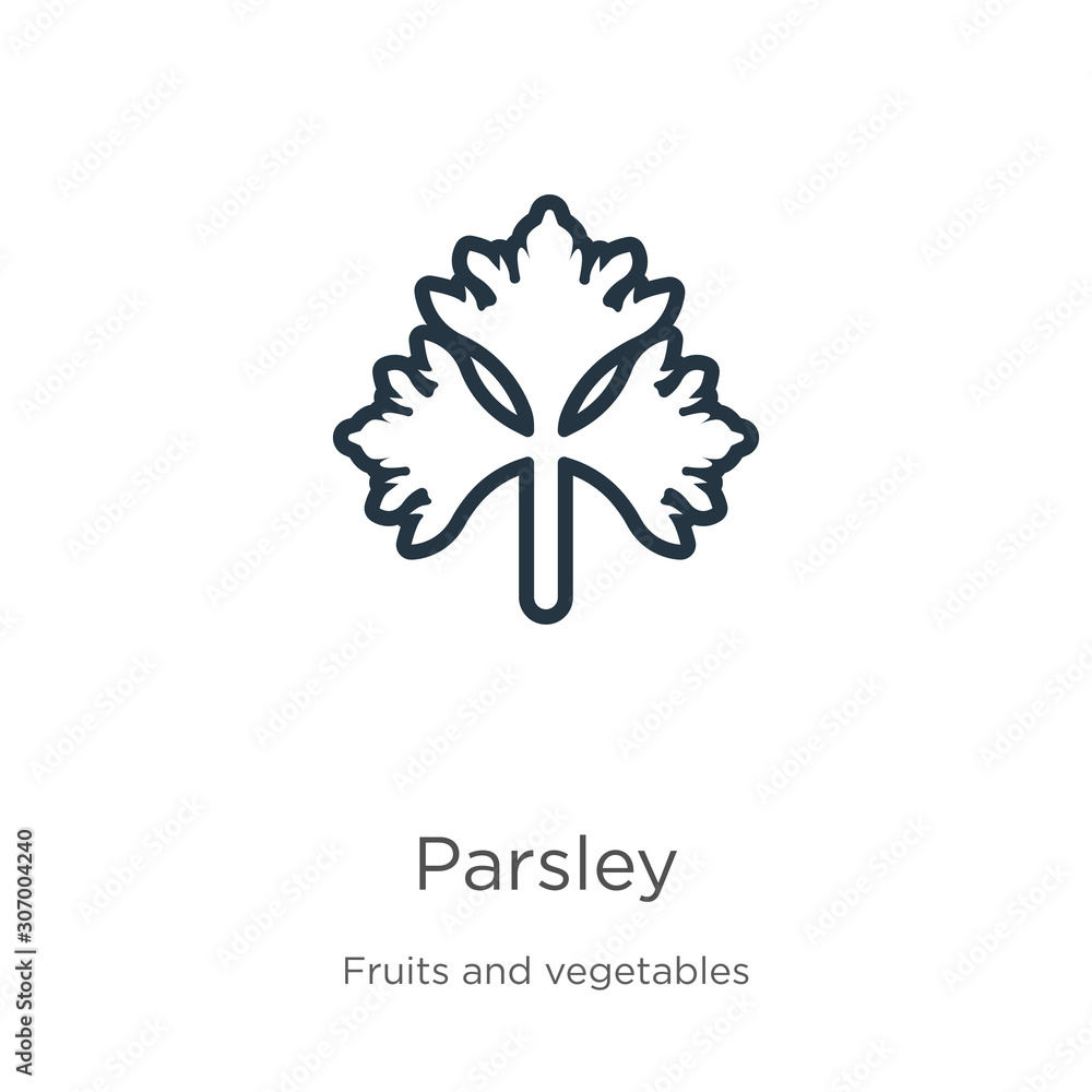 Poster parsley icon. thin linear parsley outline icon isolated on white background from fruits collection. 
