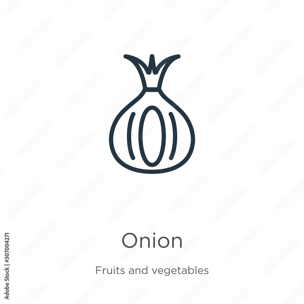 Poster onion icon. thin linear onion outline icon isolated on white background from fruits collection. line