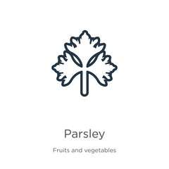 Parsley icon. Thin linear parsley outline icon isolated on white background from fruits collection. Line vector parsley sign, symbol for web and mobile