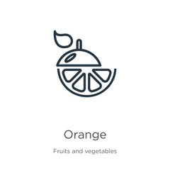 Orange icon. Thin linear orange outline icon isolated on white background from fruits collection. Line vector orange sign, symbol for web and mobile
