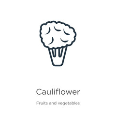 Cauliflower icon. Thin linear cauliflower outline icon isolated on white background from fruits collection. Line vector cauliflower sign, symbol for web and mobile