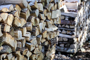 Stack of firewood
