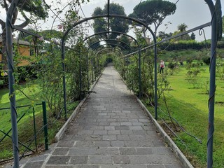 Roma - Vialetto coperto del roseto superiore