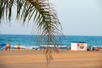 beach with umbrellas