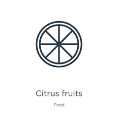 Citrus fruits icon. Thin linear citrus fruits outline icon isolated on white background from food collection. Line vector citrus fruits sign, symbol for web and mobile