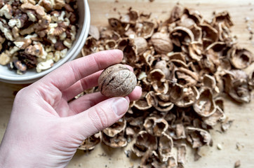 chopped walnut nutcracker in hand on the background of the slides of the shell of nuts