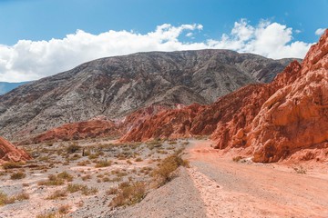 Fototapeta premium Camino de los Colorados