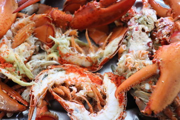 Plateau de homard - Crustacé semi décortiqué