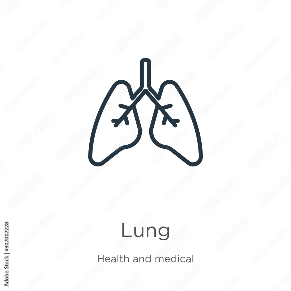 Poster lung icon. thin linear lung outline icon isolated on white background from health and medical collec
