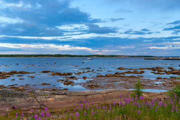 beautiful shore of the northern lake at sunset