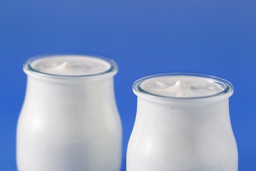 Tubs of natural yogurt, derived from cow's milk.