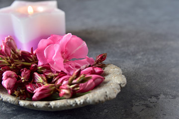 Relaxation and spa concept. Stone bowl with buds and flower, burning candle with a star shape. Pink, white and gray stone color scheme. Natural lighting, space to write.