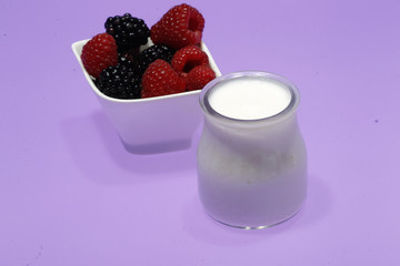 Tubs of natural yogurt, derived from cow's milk.