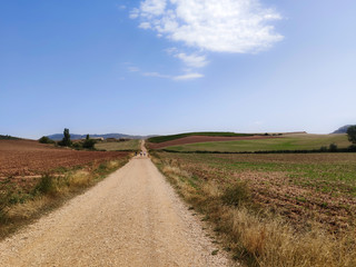 On the path of "Cammino of Santiago" between Estella and Los Arcos in Navarre