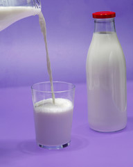 Bottle of milk, cow.