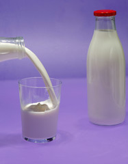 Bottle of milk, cow.