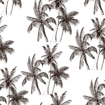 Seamless pattern with tropical palm trees. Sketchy rainforest isolated on white background. Hand drawn vector illustration.