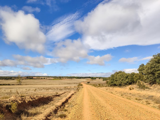 Fototapeta na wymiar On the Camino of Santiago between Hospital de Orbigo and Astorga