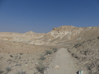 view of desert