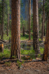 Beautiful Eastern Sierra’s from June Lake to Lake Tahoe