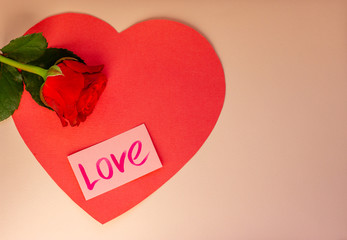 Hearts on the pastel background. Fresh rose with green leaves. Valentin's Day, love. Top view. Flat...