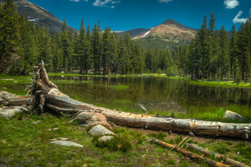Beautiful Eastern Sierra’s from June Lake to Lake Tahoe