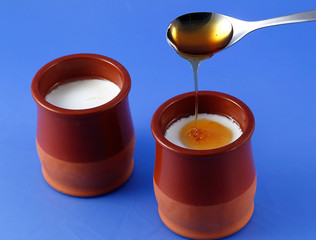 Curd with honey. Dairy dessert, sweet made with fresh cow's milk.