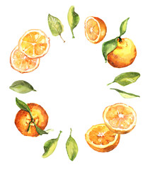 Watercolor hand drawn fresh juicy oranges and leaves circle composition illustration isolated on white background - template, banner design
