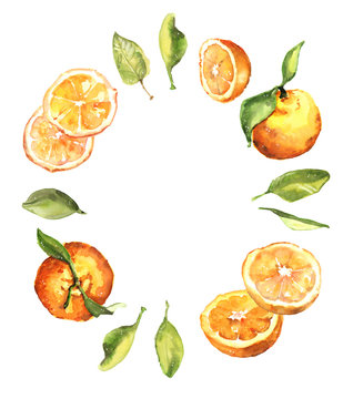 Watercolor hand drawn fresh juicy oranges and leaves circle composition illustration isolated on white background - template, banner design