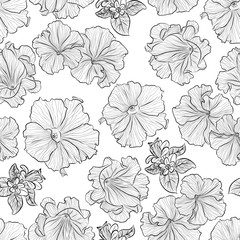 Floral seamless pattern. Vector line art illustration with petunia flowers. Hand drawn pattern isolated on white background. 